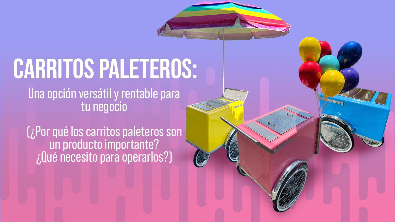 Carritos paleteros: Una opción versátil y rentable para tu negocio (¿Por qué los carritos paleteros son un producto importante?¿Que necesito para operarlos?)